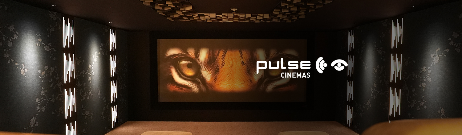 B542 Q124 Pulse Cinemas InvisionUK Web Banner I 3