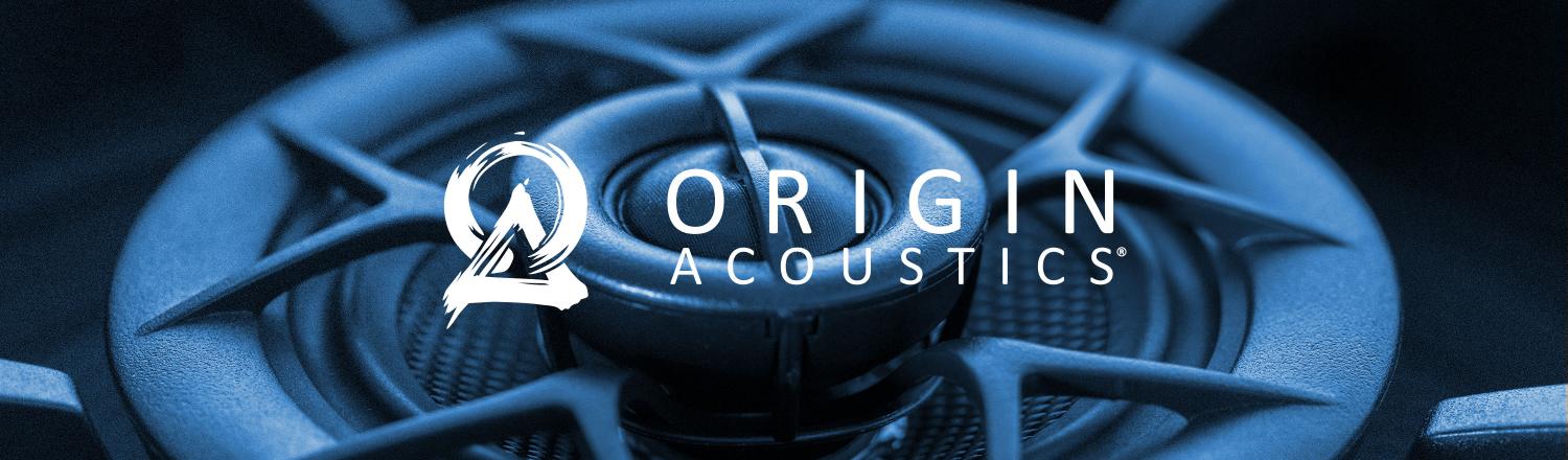 Origin Acoustics BANNER V2