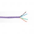ICE Cat6 Violet Cable HighQ